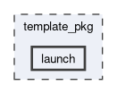 template_pkg/launch
